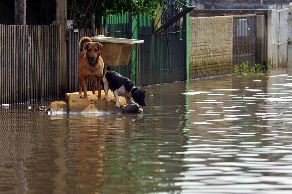 Fot. wirestock/envato