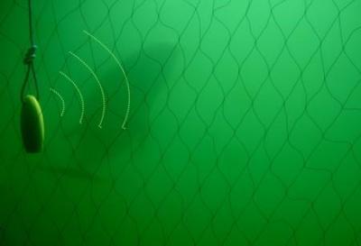 Fot.: www.morswin.pl