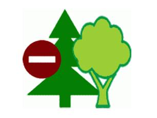 konferencja, centrum, edukacja, leśnictwo