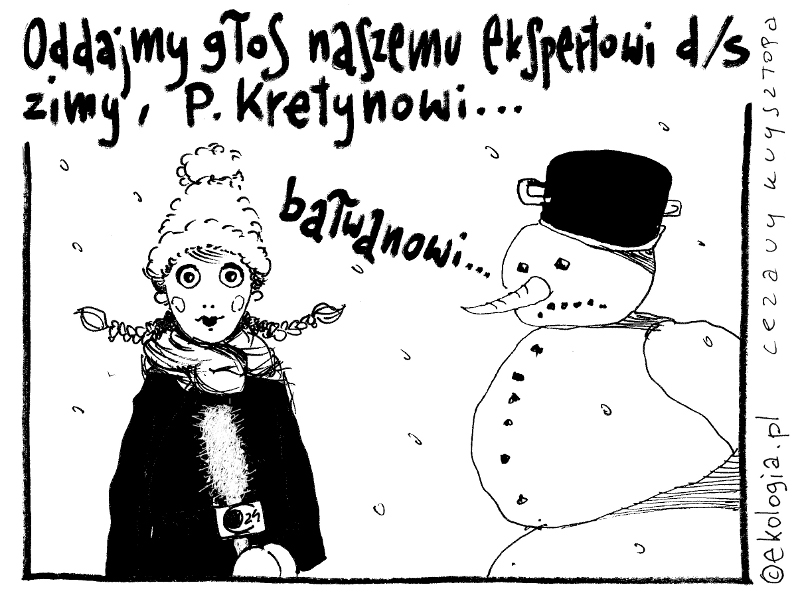 Autor: Cezary Krysztopa