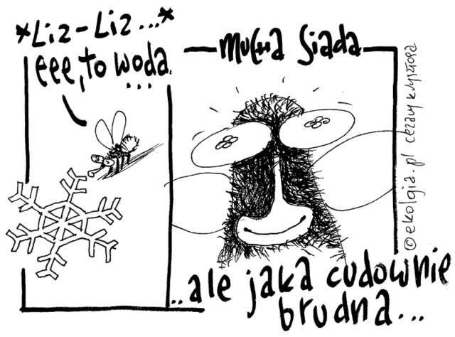 Cezary Krzysztopa, Ekologia.pl