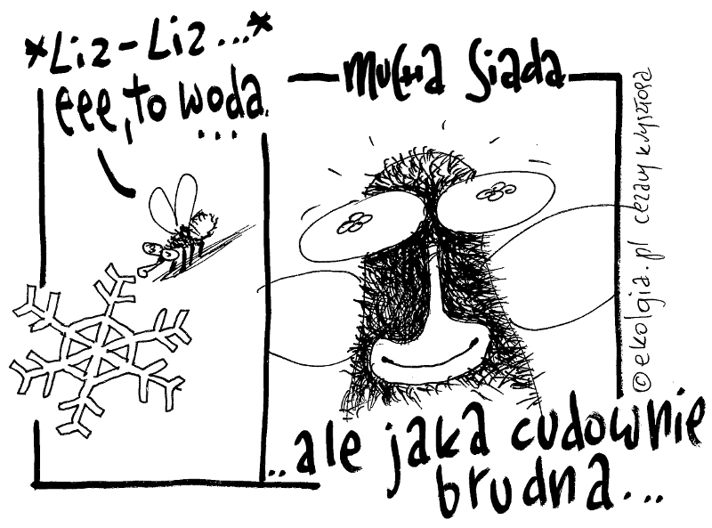 Cezary Krzysztopa, Ekologia.pl