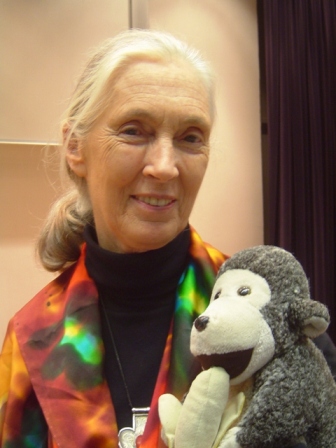 Jane Goodall, organizatorka Jane Goodall Institute