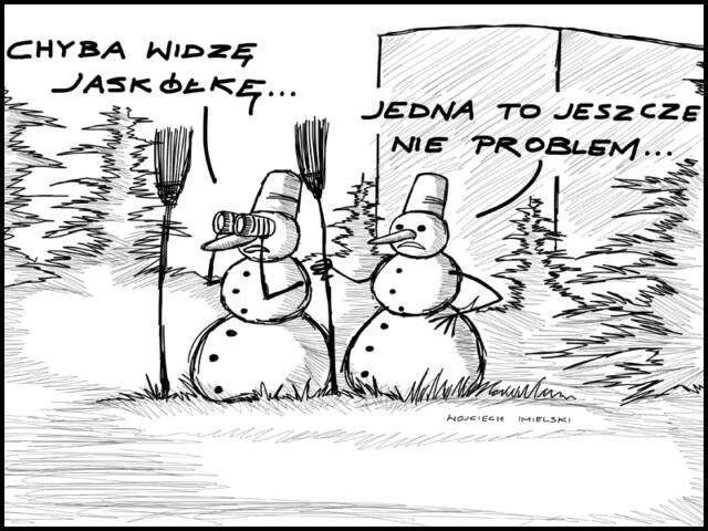 Wojciech Imielski dla Ekologia.pl