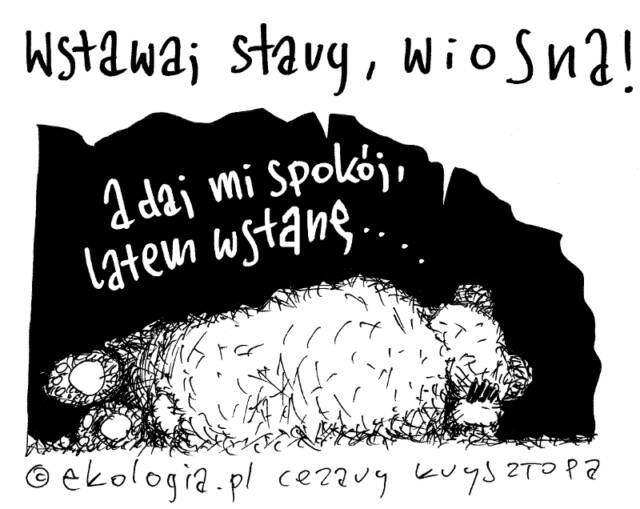 Cezary Krzysztopa dla Ekologia.pl