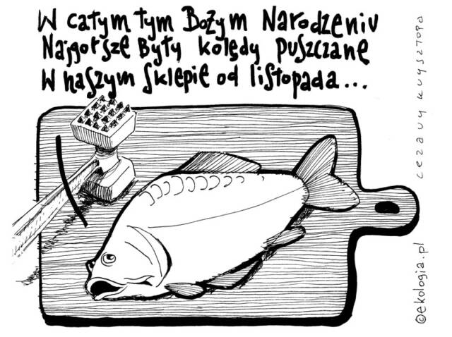Autor: Cezary Krysztopa