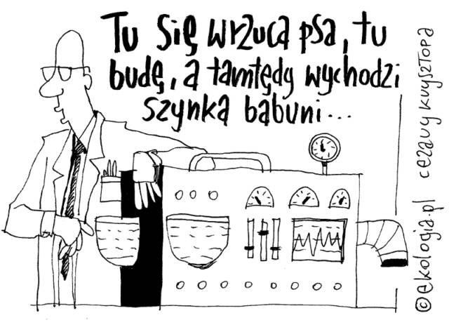 Szynka Babuni. Autor: Cezary Krzysztopa