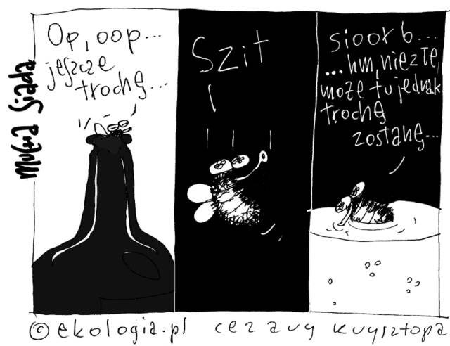 Cezary Krzysztopa dla Ekologia.pl