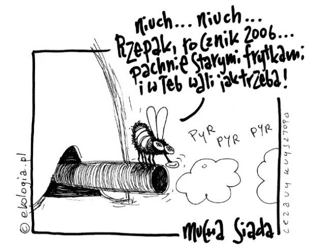 Autor: Cezary Krzysztopa.