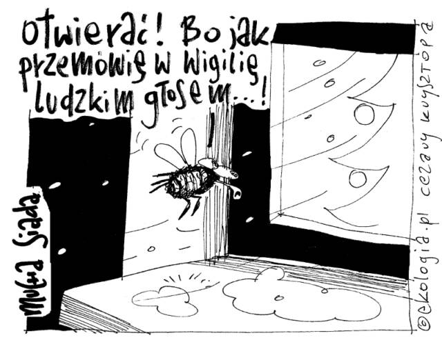 Cezary Krzysztopa dla Ekologia.pl