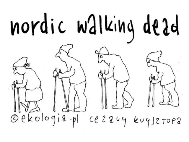 Cezary Krzysztopa dla Ekologia.pl