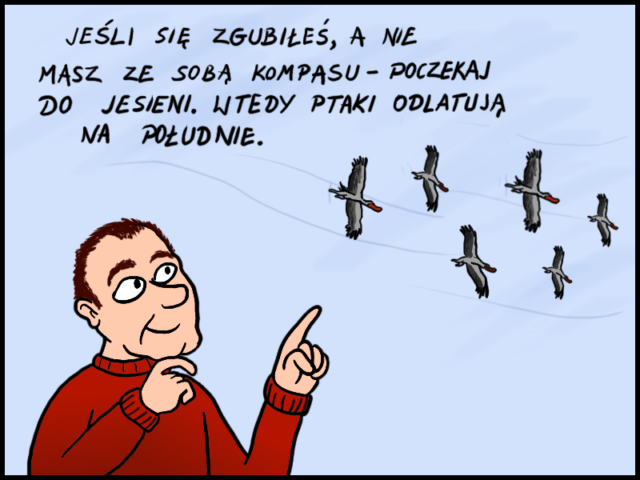 Autor: Piotr Turowski
