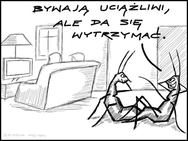 Sąsiad karaluch. Wojciech Imielski dla Ekologia.pl