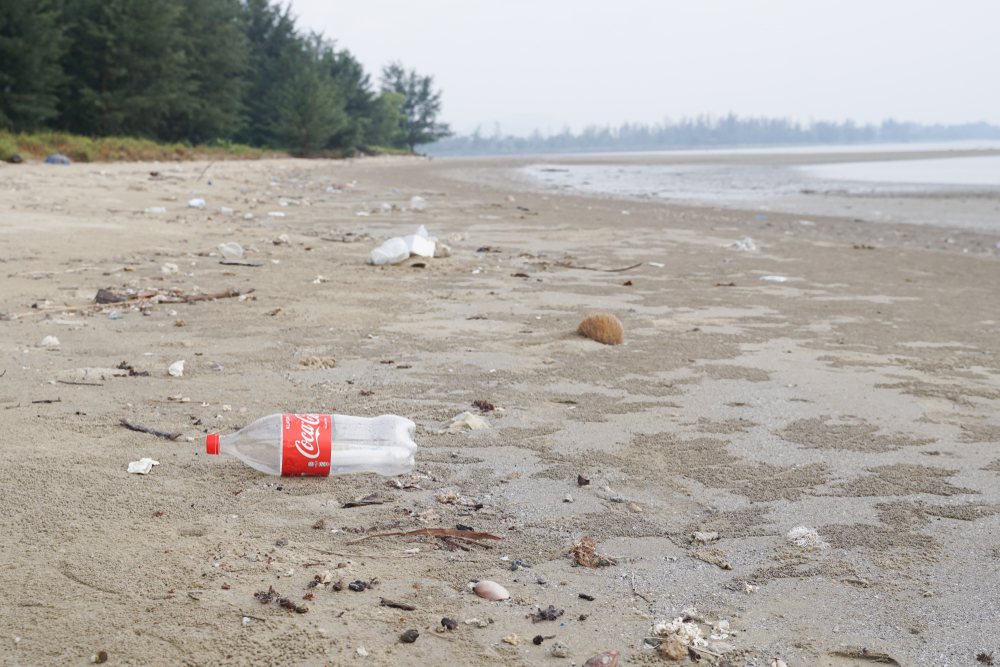 Fazly Marijal / Shutterstock.com