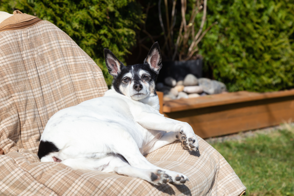 Fot. EB Adventure Photography/Shutterstock