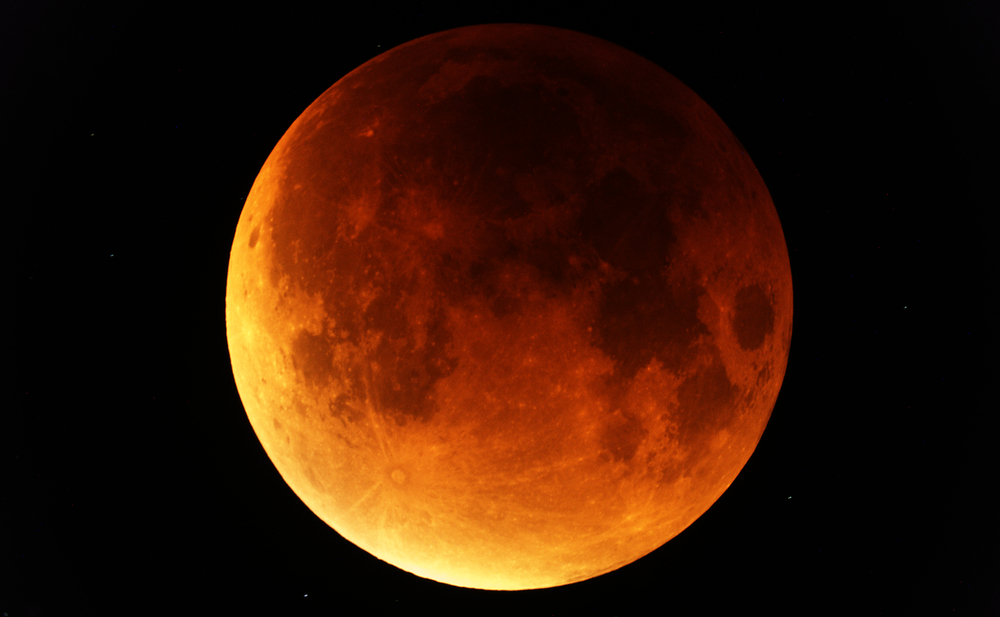 Fot. Astronight/Shutterstock