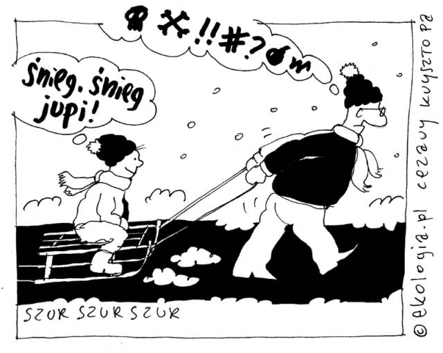 Autor: Cezary Krzysztopa