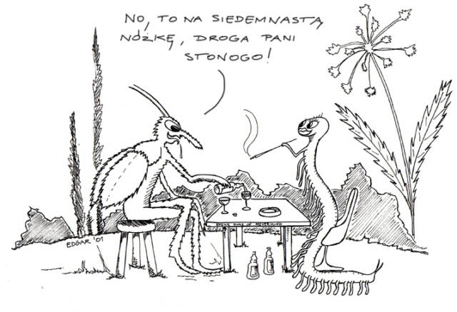Stonoga, Wojciech Imielski dla Ekologia.pl