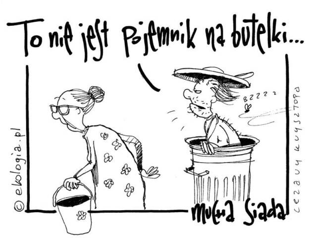 Autor: Cezary Krysztopa