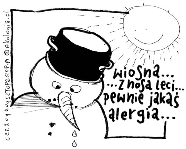 Wiosna bałwana - Cezary Krzysztopa