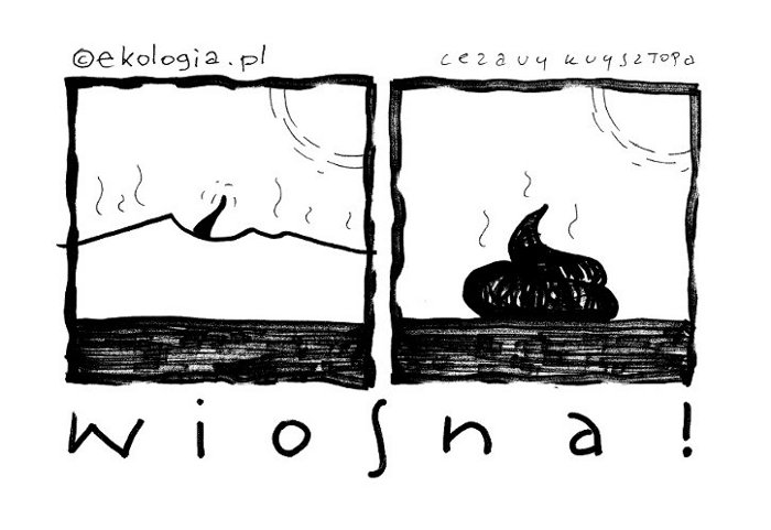 Autor: Cezary Krzysztopa