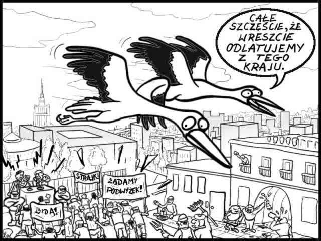 Piotr Turowski dla Ekologia.pl