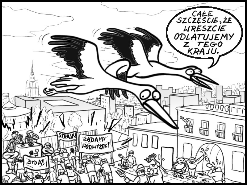 Piotr Turowski dla Ekologia.pl