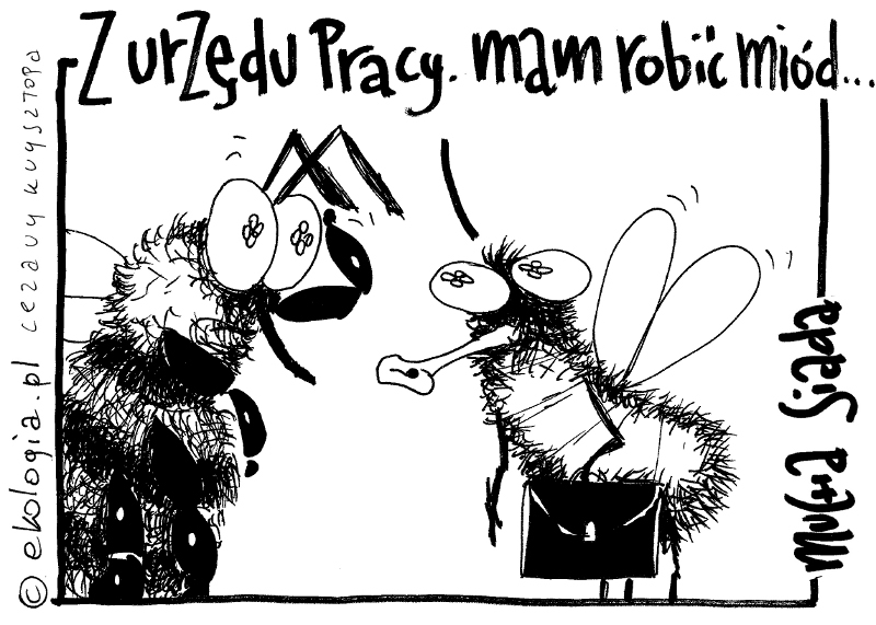 Cezary Krzysztopa dla Ekologia.pl