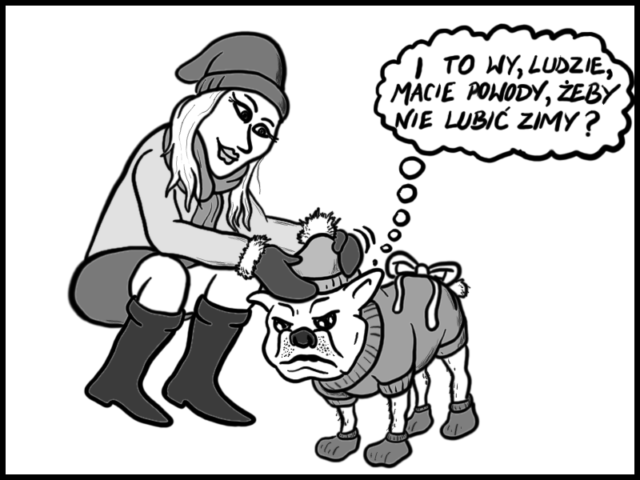 Autor: Piotr Turowski