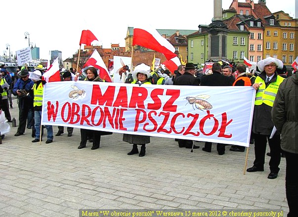 Pod hasłem „Chrońmy pszczoły” w Warszawie protestowali wczoraj pszczelarze. W ten sposób chcieli zwrócić uwagę  polskich decydentów, polityków oraz społeczeństwa na drastyczny spadek populacji pszczoły miodnej w Polsce, trudną sytuację polskiego pszczelar