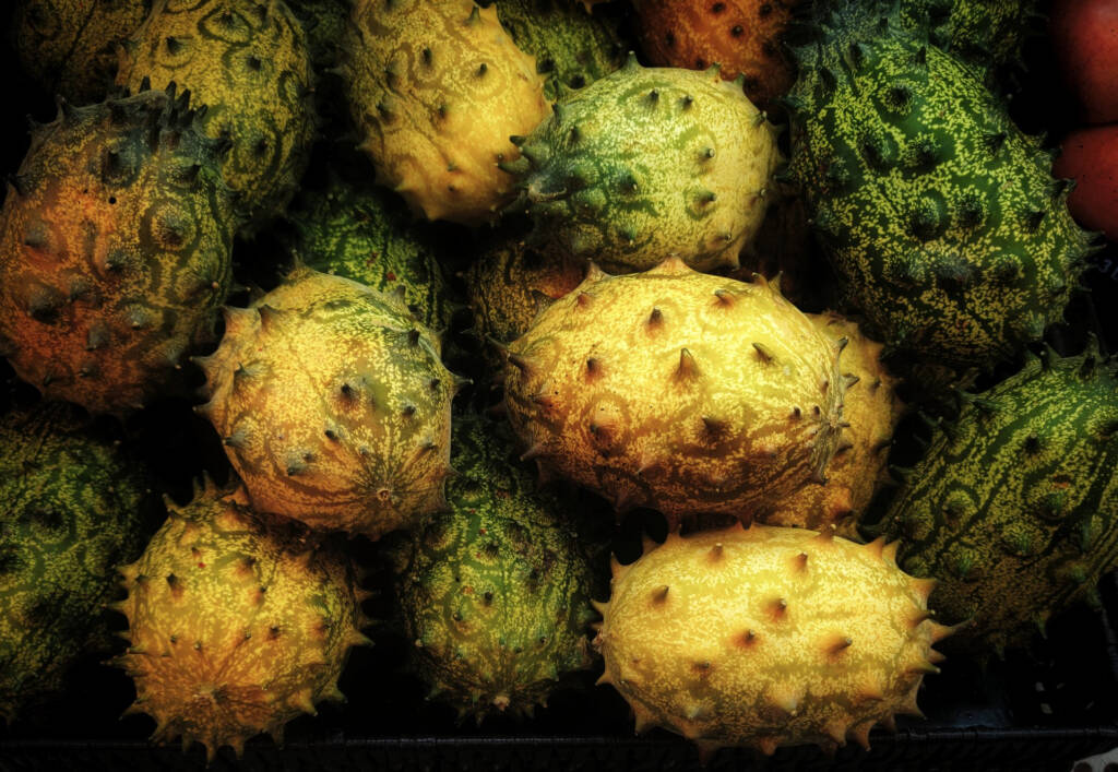Kiwano swoim wyglądem przypomina najeżonego kasztana albo mix ogórka z cytryną. fot. pixabay.com