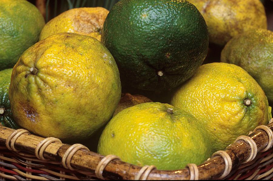 Jamajskie owoce ugli; źródło: Wikimedia Commons