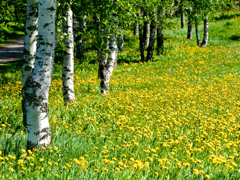 Różnorodność biologiczna w Polsce i ekosystemy