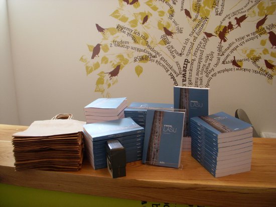 Marek Stokowski „Stroiciel lasu”