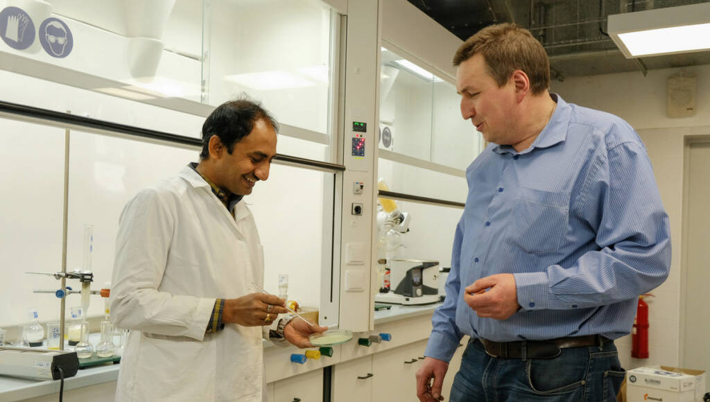 Rammohan Aluru (po lewej) i Grigorij Zyryanov (po prawej), jako część zespołu chemików, stworzyli jadalne folie spożywcze na bazie alg. Zdjęcie: Andrey Fomin.