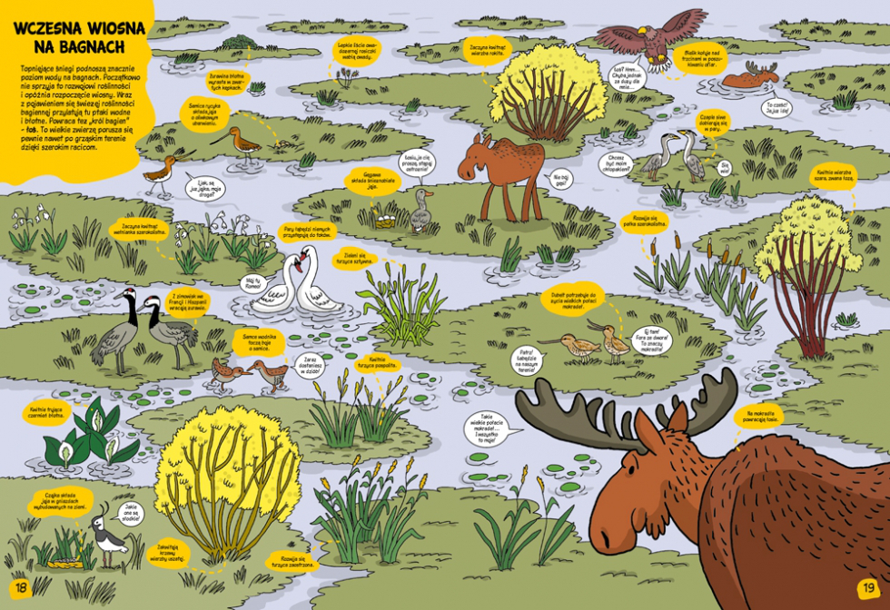 Jak – w przyjazny i przystępny sposób wprowadzić dziecko w świat przyrody? Z pomocą przychodzi MULTICO Oficyna Wydawnicza, która przygotowała bardzo interesującą książkę dla najmłodszych czytelników – przedszkolaków i uczniów młodszych klas szkoły podstaw