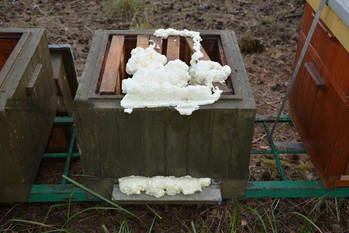 Źródło: KPP Gostyń