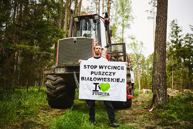 Greenpeace Polska