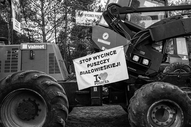Greenpeace Polska