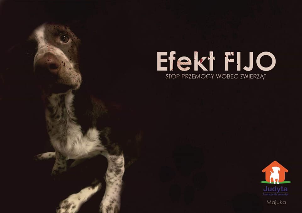 Fundacja dla Szczeniąt Judyta