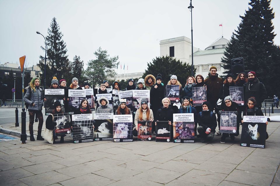 Otwarte Klatki i Anima International uzyskały tytuł TOP CHARITY od Animal Charity Evaluators, fot. Stowarzyszenie Otwarte Klatki