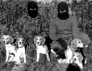 Animal Liberation Front (ALF) – radykalna międzynarodowa organizacja walcząca o prawa zwierząt/ uator: SlimVirgin, źródło: wikipedia