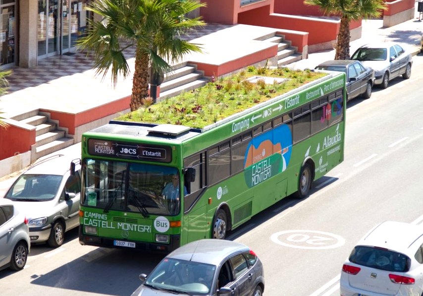 Fot.: www.phytokinetic.net