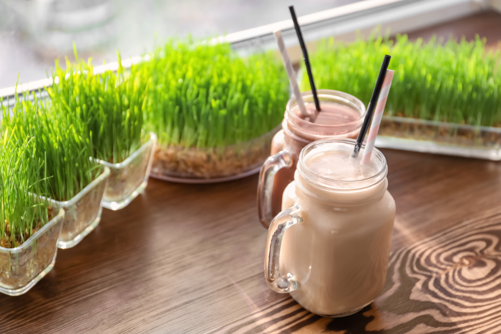 Fot. Africa Studio/Shutterstock