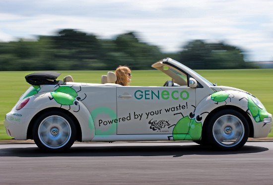 Geneco.uk.com