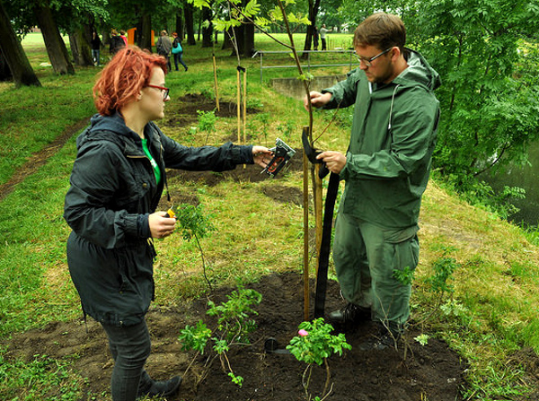 Fot. Dni Pszczoły w gm. Wschowa. Greenpeace Polska (CC BY-ND 2.0)