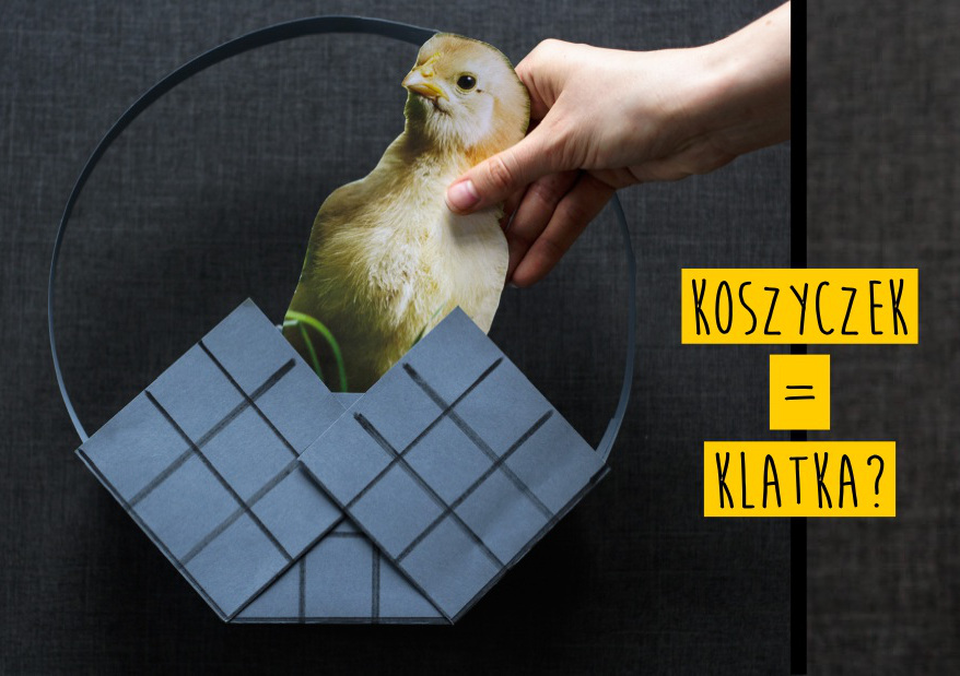 CIWF Polska przypomina, że zanim kury, świnie i króliki trafią do wielkanocnego koszyczka – spędzają całe życie w klatkach.