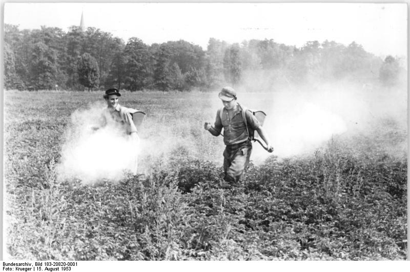 Bundesarchiv, Bild 183-20820-0001 / CC-BY-SA [CC-BY-SA-3.0-de], via Wikimedia Commons