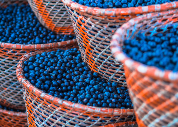 © Tony1 | Dreamstime.com - Acai In Baskets Photo