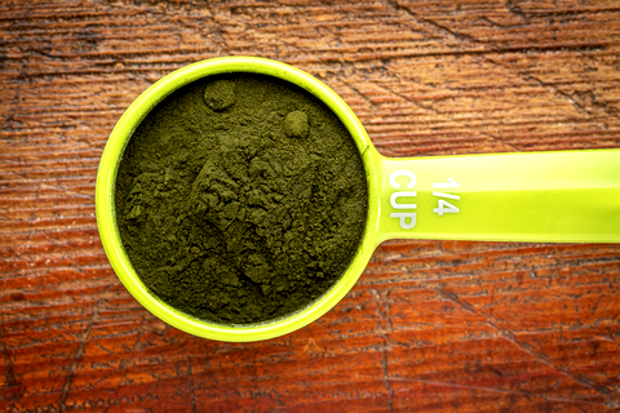 Sproszkowana chlorella. Fot. dreamstime